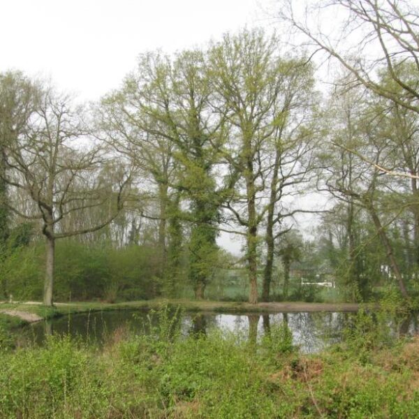 vriendag 2014 Vrienden van Twickel