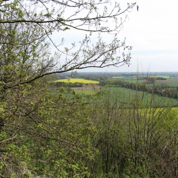 vriendag 2014 Vrienden van Twickel