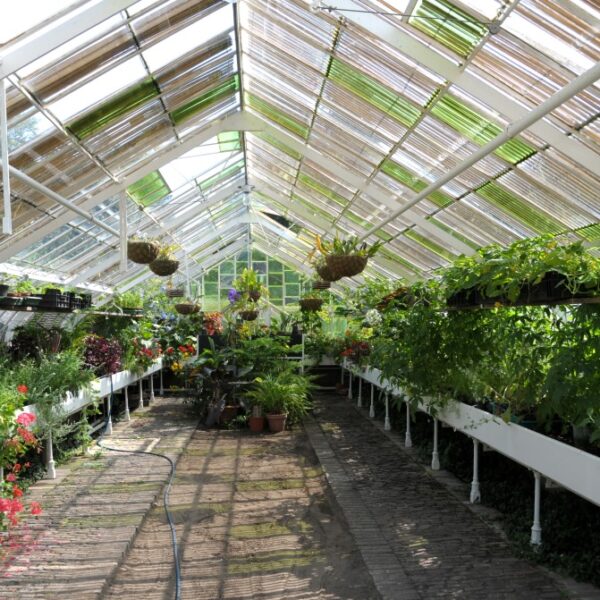 moestuindag mei 2014 Twickel