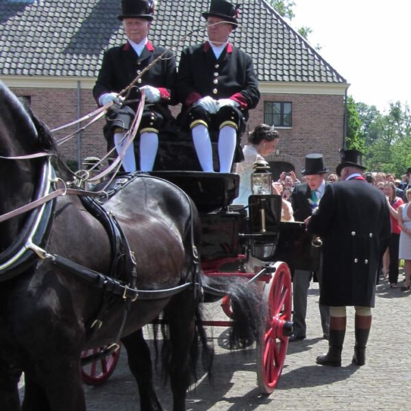 vrienden van twickel