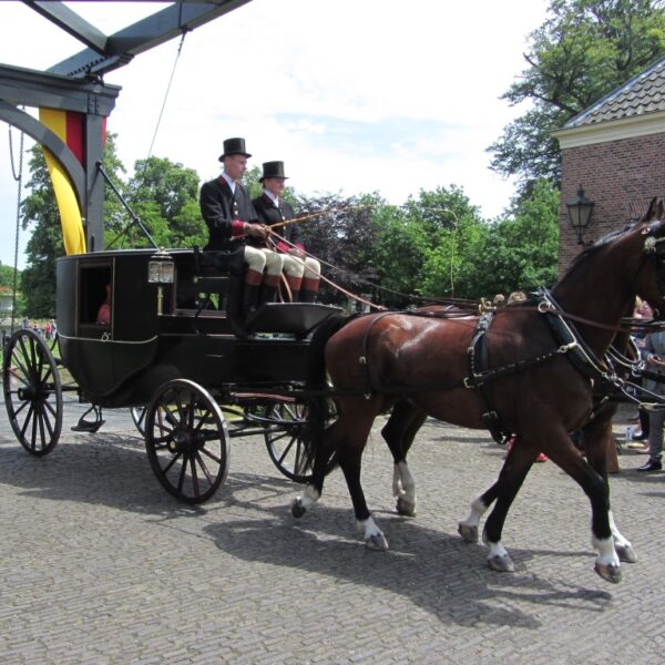 vrienden van twickel