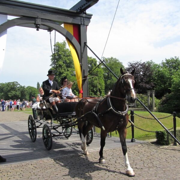 vrienden van twickel