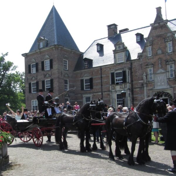 vrienden van twickel