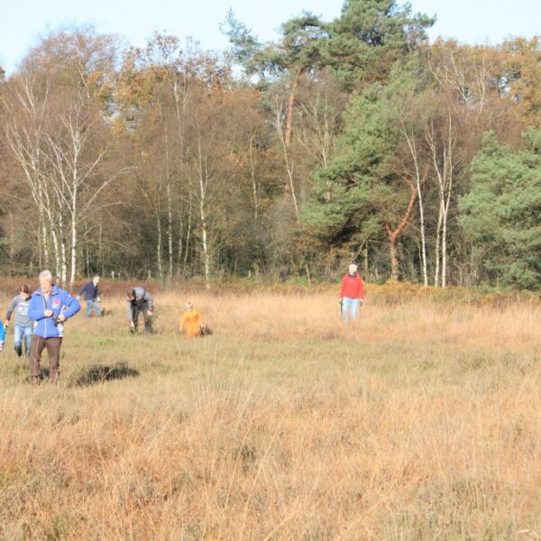 vrienden van twickel