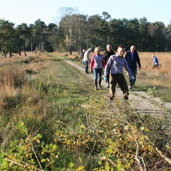 vrienden van twickel