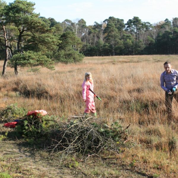 vrienden van twickel