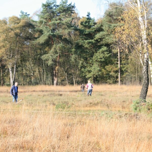 vrienden van twickel