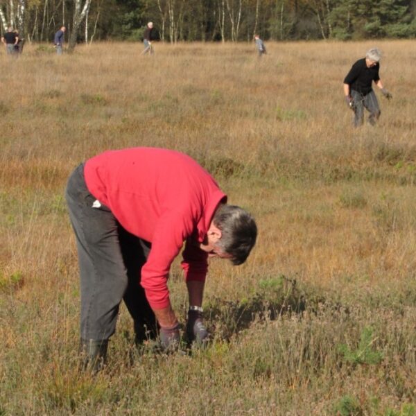 vrienden van twickel