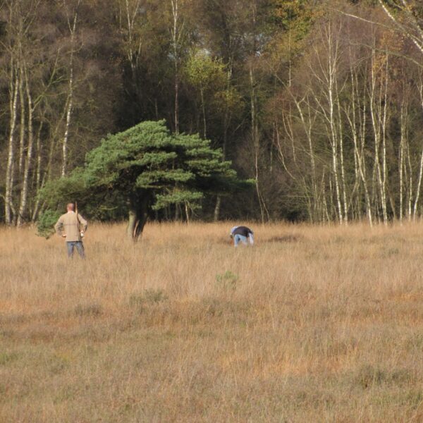 vrienden van twickel