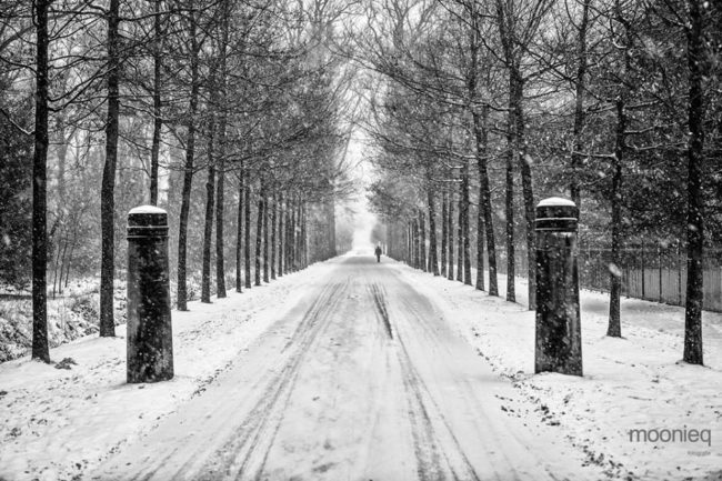 winter in twickel