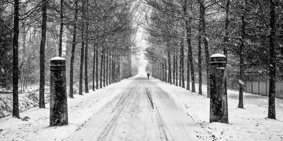 winter in twickel
