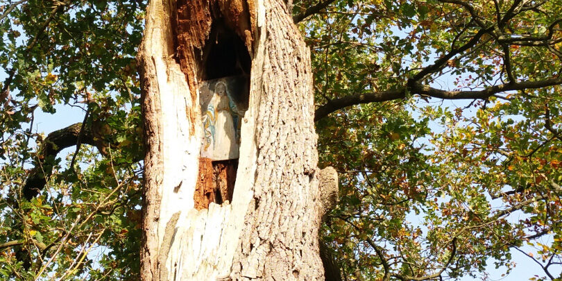 maria-of-een-ree