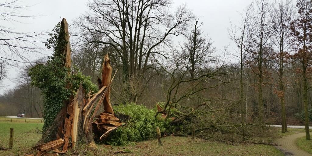 20180120_Chaos op Twickel door storm