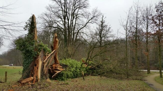 20180120_Chaos op Twickel door storm