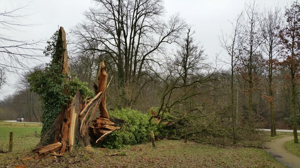 20180120_Chaos op Twickel door storm