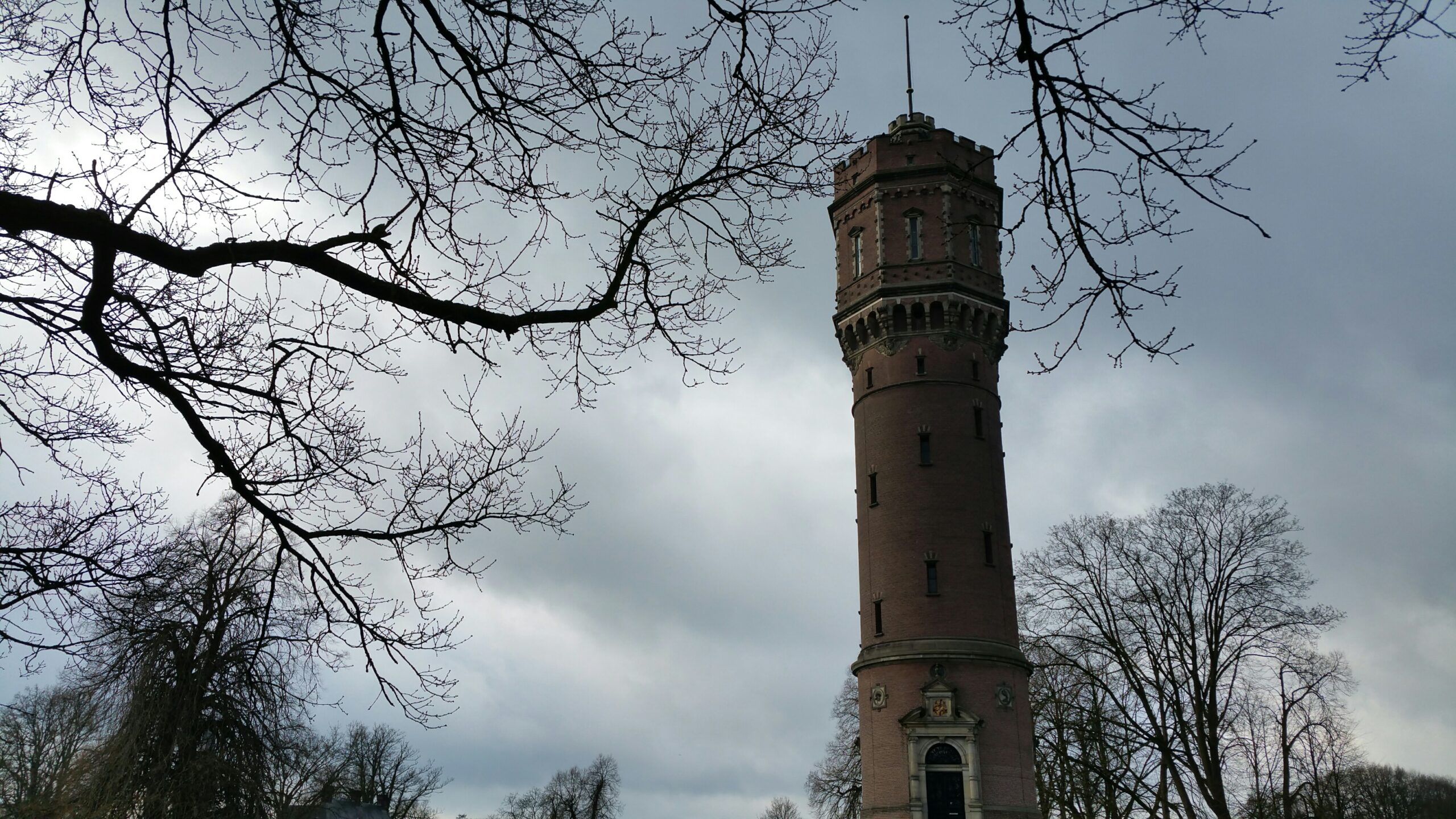 20190305_094902_resized