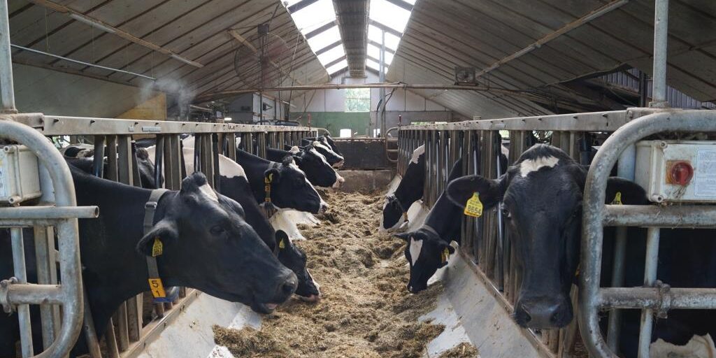 bezoek VVT Klein Peddemors 31082019 (13)