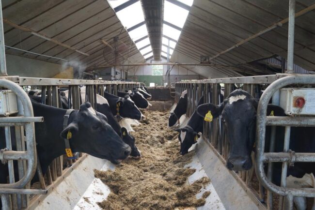 bezoek VVT Klein Peddemors 31082019 (13)