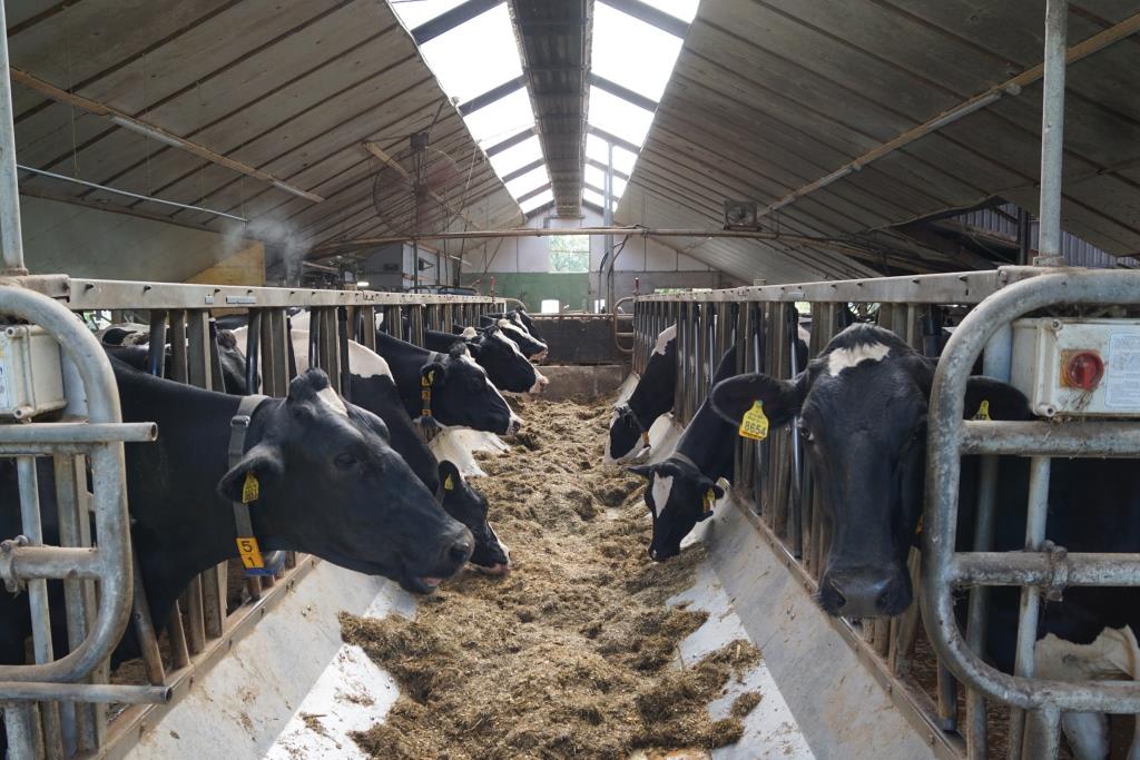 bezoek VVT Klein Peddemors 31082019 (13)