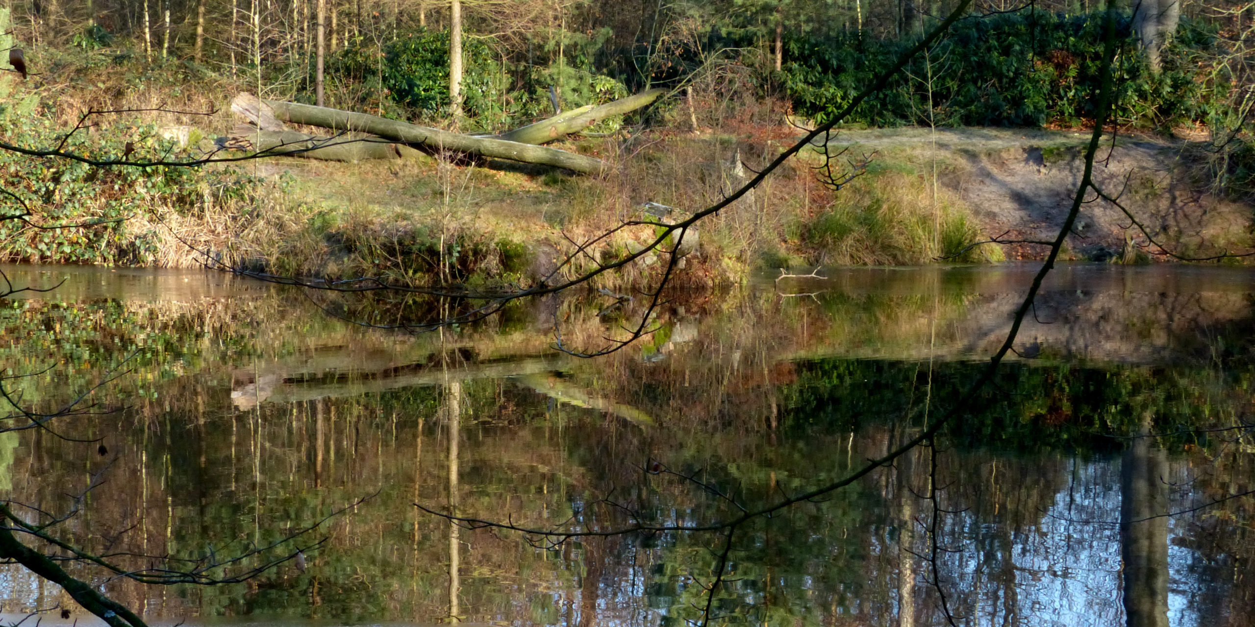 kreeftengat herfst-winter RWE 2013 (69)