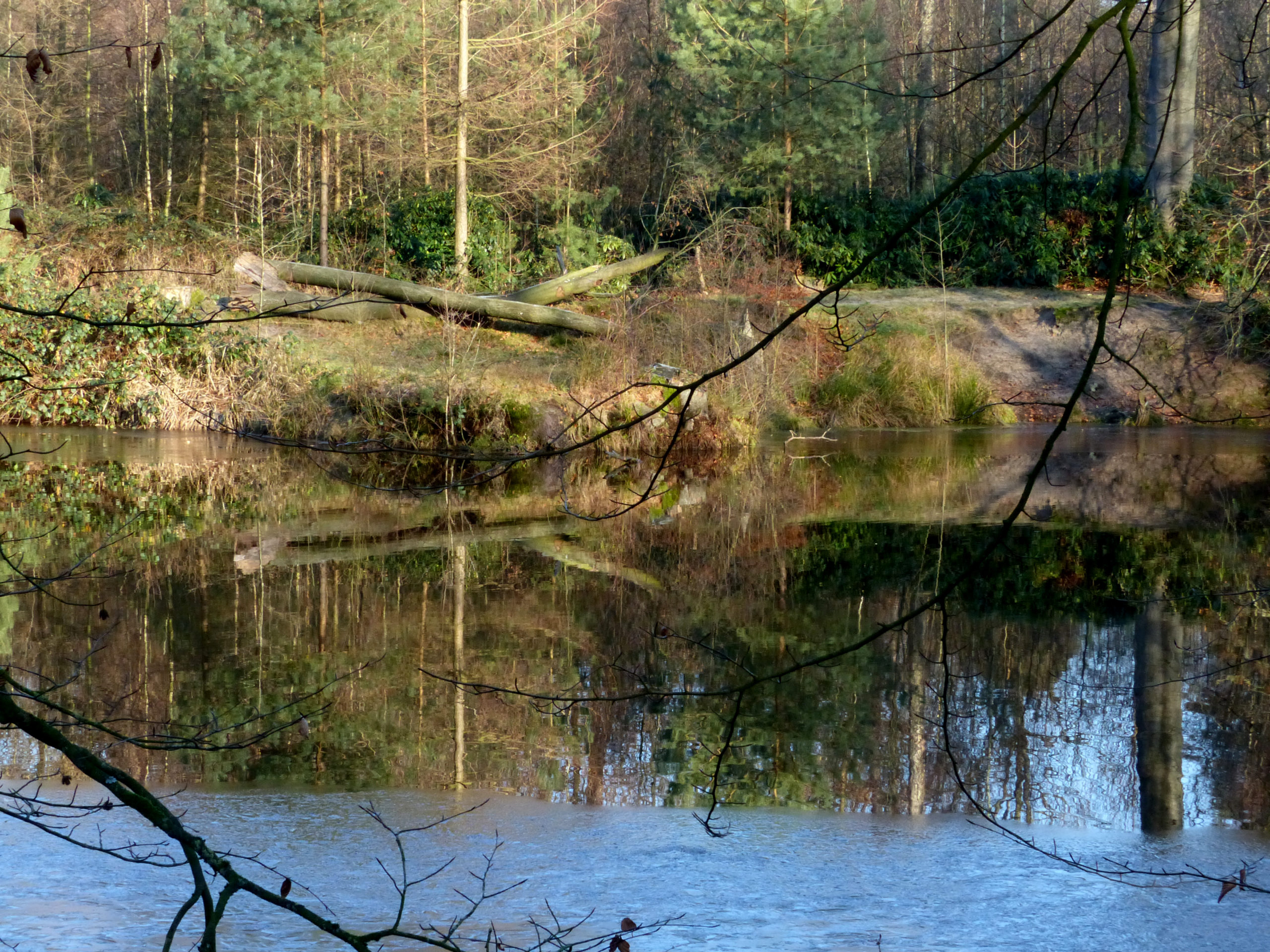 kreeftengat herfst-winter RWE 2013 (69)