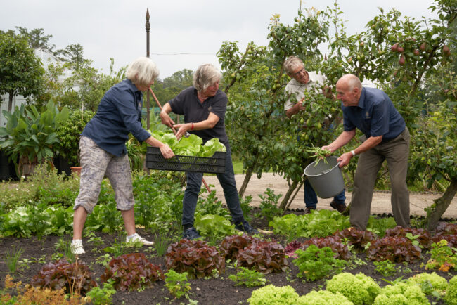 PBR20-07-24 _moestuin Twickel vrijw_2