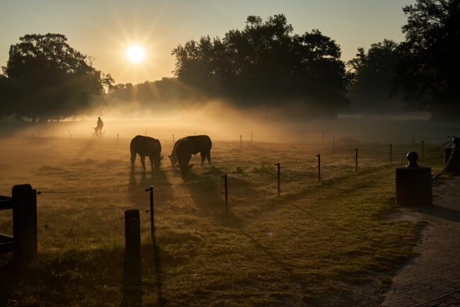 PBR20-09-21 zon op voor kasteel 8